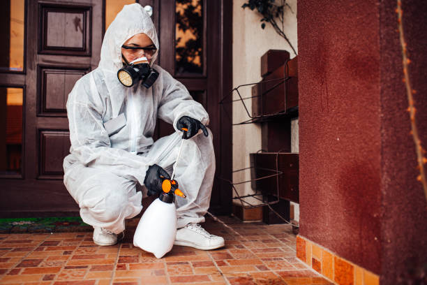 Reliable Wasp Removal contractor in Hollywood, FL by Show Me Pest Control